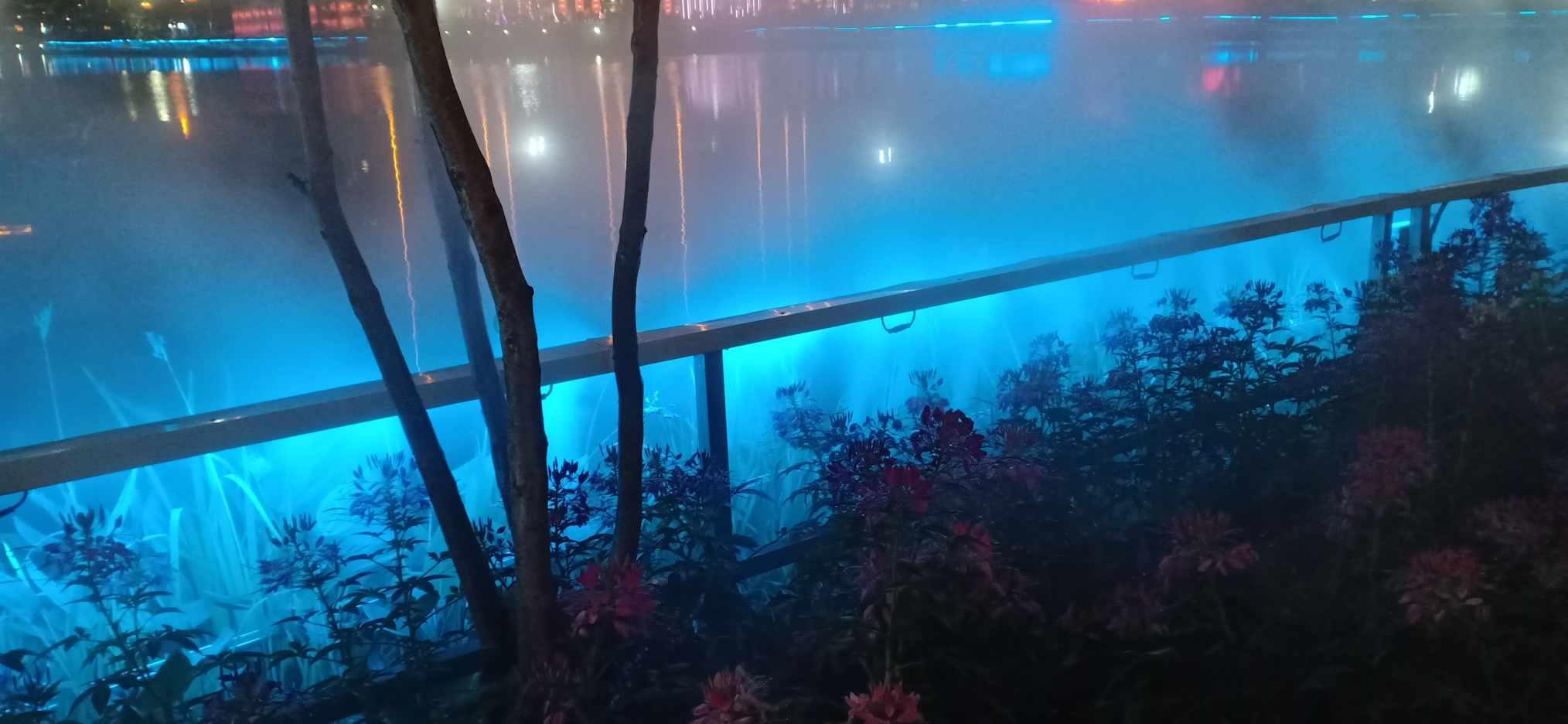 彩色夏天